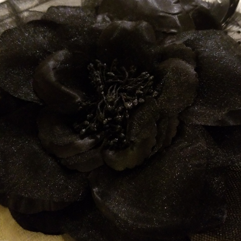 Fascinator - Picture 4 of 8